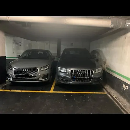 Frente Al Guggenheim Con Wifi Y Parking Privado Zbe -bajas Emisiones Gratis * Bilbao